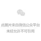 admin头像